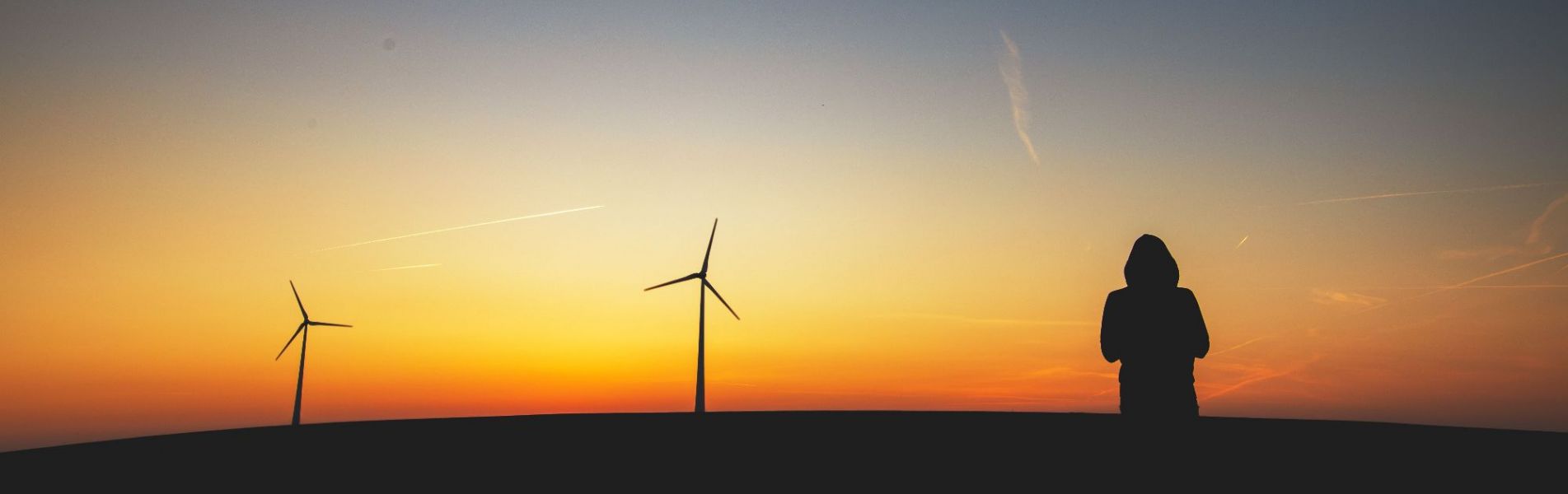 Wind farm.jpg