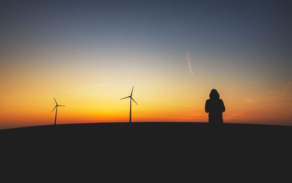 Wind farm.jpg